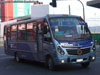 Carrocerías LR Bus / Mercedes Benz LO-915 / Línea Nº 30 Ruta Las Playas (Concepción Metropolitano)