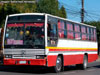 Caio Vitória / Mercedes Benz OF-1318 / Línea Nº 45c Osorno