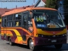 Maxibus Astor / Mercedes Benz LO-712 / Línea N° 20 Valdivia Maxibus Astor / Mercedes Benz LO-712 / Línea N° 20 Valdivia