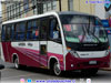 Neobus Thunder + / Mercedes Benz LO-916 BlueTec5 / Línea N° 10 Temuco