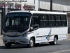 Neobus Marina / Mercedes Benz LO-814 / Línea Nº 7 Abate Molina (Talca)