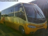 Marcopolo Senior / Mercedes Benz LO-915 / Buses JAC