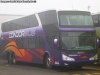 Modasa Zeus II / Mercedes Benz O-500RSD-2436 / Cóndor Bus