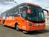 Mascarello Roma R4 / Mercedes Benz O-500R-1830 BlueTec5 / Bus-Sur