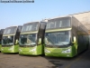 Modasa Zeus II / Mercedes Benz O-500RSD-2436 / Tur Bus