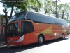 Zhong Tong Navigator LCK6137H / Pullman Palmira