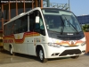 Marcopolo Senior / Mercedes Benz LO-915 / Pullman La Paloma