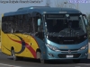 Marcopolo New Senior / Mercedes Benz LO-916 BlueTec5 / Arle Bus