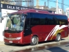 Higer Bus KLQ6856 (H85.31) / Corditur