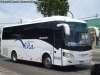 Daewoo Bus A-90 / Transportes Viña (Al servicio de Cambiaso Hnos. S.A.)
