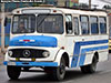 Metalpar / Mercedes Benz LO-1113 / Particular