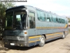 Mercedes Benz O-303RHD / Particular