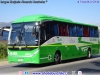 Zhong Tong LCK6129H EVG / Link + (Al servicio de CODELCO División El Teniente) Zhong Tong LCK6129H EVG / Link + (Al servicio de CODELCO División El Teniente)