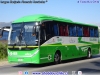 Zhong Tong LCK6129H EVG / Link + (Al servicio de CODELCO División El Teniente)