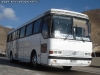 Mercedes Benz O-371RS / Particular