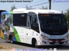 Marcopolo Senior / Mercedes Benz LO-916 BlueTec5 / I. M. de Villarrica (Región de La Araucanía)