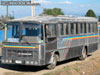 Nielson Diplomata 310 / Mercedes Benz OF-1318 / Particular Nielson Diplomata 310 / Mercedes Benz OF-1318 / Particular
