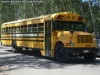 Blue Bird / International 3800 T444E / Centro Educacional Adventista Los Angeles