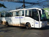 Higer Bus KLQ6129 (H120.44) / Pullman Bus Industrial