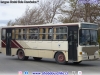 Busscar Urbanus / Mercedes Benz OF-1115 / DGAC - Aeropuerto Internacional Presidente Carlos Ibáñez del Campo (Punta Arenas) Busscar Urbanus / Mercedes Benz OF-1115 / DGAC - Aeropuerto Internacional Presidente Carlos Ibáñez del Campo (Punta Arenas)