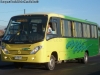 Comil Piá / Mercedes Benz LO-916 BlueTec5 / Transportes San Pedro (Al servicio de Empresas Carozzi S.A.) Comil Piá / Mercedes Benz LO-916 BlueTec5 / Transportes San Pedro (Al servicio de Empresas Carozzi S.A.)