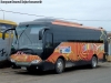 Zhong Tong Sparkling LCK6935H / Kenncar Bus Zhong Tong Sparkling LCK6935H / Kenncar Bus