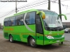 Zonda Bus YCK6799HP (A-5) / Terra Bus
