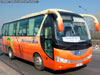 Yutong ZK6831HE / Pullman Bus Industrial (Al servicio de UAI) Yutong ZK6831HE / Pullman Bus Industrial (Al servicio de UAI)