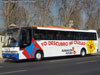 Busscar El Buss 340 / Scania K-124IB / Buses Caracol (Al servicio de Fundación Futuro) Busscar El Buss 340 / Scania K-124IB / Buses Caracol (Al servicio de Fundación Futuro)