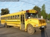 AmTran / International 3800 T444E / Centro Educacional Adventista Los Angeles