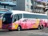Irizar i6 3.90 / Mercedes Benz O-500RSD-2442 / SRT Transportes Cielo Irizar i6 3.90 / Mercedes Benz O-500RSD-2442 / SRT Transportes Cielo