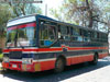 Ciferal Padron Rio / Mercedes Benz OF-1318 / Buses Telugui