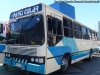 Marcopolo Torino / Mercedes Benz OF-1318 / Particular Marcopolo Torino / Mercedes Benz OF-1318 / Particular