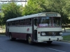 Mercedes Benz O-362U / Buses Sempa (Al Servicio de la I. M. De Macul)