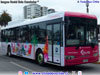 King Long XMQ6127E / Tandem (Al servicio de la I. M. de Viña del Mar) King Long XMQ6127E / Tandem (Al servicio de la I. M. de Viña del Mar)