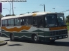 Nielson Diplomata 310 / Mercedes Benz OF-1115 / Buses Pehuén Nielson Diplomata 310 / Mercedes Benz OF-1115 / Buses Pehuén