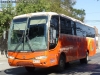Marcopolo Viaggio G6 1050 / Scania F-300 / Pullman Bus Industrial