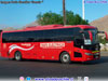 Zhong Tong Navigator LCK6129H EVG / Flota Verschae (Al servicio de C. C. M. Candelaria)