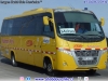 Volare DW9 Fly / Mercedes Benz LO-916 BlueTec5 / Pullman Yuri's
