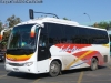 Higer Bus KLQ6856 (H85.35) / Buses Schuftan