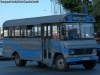 Blue Bird / Mercedes Benz LO-608D / Particular Blue Bird / Mercedes Benz LO-608D / Particular