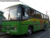 Ciferal Podium 330 / Mercedes Benz OF-1318 / Particular Ciferal Podium 330 / Mercedes Benz OF-1318 / Particular