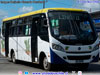 Induscar Caio Foz / Mercedes Benz LO-916 BlueTec5 / Línea N° 11 Valdivia Induscar Caio Foz / Mercedes Benz LO-916 BlueTec5 / Línea N° 11 Valdivia