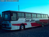 Mercedes Benz O-364 / Buses San José Mercedes Benz O-364 / Buses San José