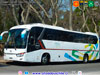 King Long XMQ6130Y / Particular King Long XMQ6130Y / Particular