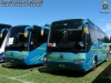 Higer Bus KLQ6129 Black Line (H120.44) / Flota Verschae