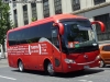 King Long XMQ6900Y / Turistik King Long XMQ6900Y / Turistik