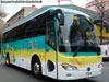 Bonluck Bus JXK6115 / Bus Service