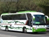 King Long XMQ6130Y / Oro Verde Turismo