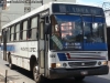 Marcopolo Torino GV / Mercedes Benz OF-1318 / Línea N° 29 Asunción (Paraguay) Marcopolo Torino GV / Mercedes Benz OF-1318 / Línea N° 29 Asunción (Paraguay)